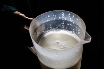 Camel milk in a clear plastic pitcher