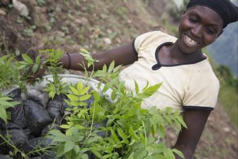 A woman with a bucket of seedlings ready to plant