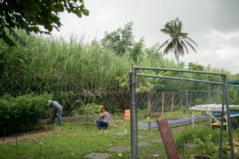 Garden in puerto rico