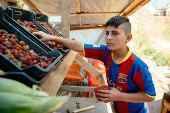 Hammoudi with strawberries at a market