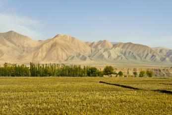 A green field in the foreground with bare mountains rising in the distance under a blue sky