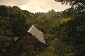A hut in colombia in a lush green forest with a bright, cloudy sky
