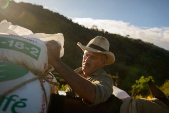 Man piling full bags from his crop in colombia