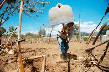 A young man uses a tool to work the soil in guatemala