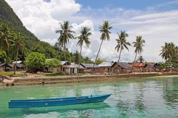 A narrow blue boat is pictured on turquoise water, with huts and palm trees near the shore