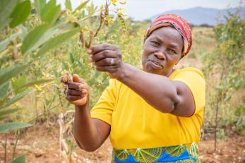 Woman farming