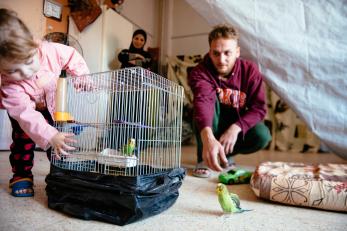 A young girl plays with two bright green and yellow birds. one is inside a cage and one is outside the cage.