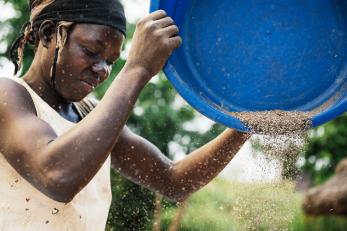 Concy planting chia seeds by pouring them from a blue container