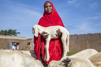 Woman holding goat amidst flock.