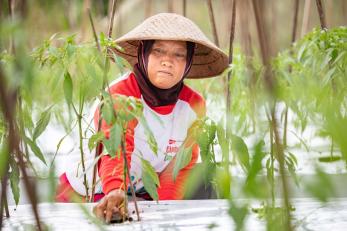 A farmer working the land.