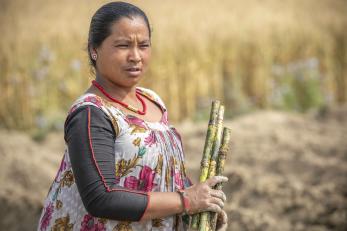 Nepalese farmer in agricultural setting.