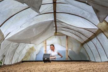 A person drying coffee beans on their farm.