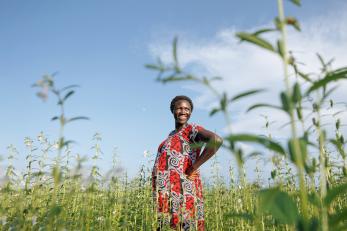 A person waiting in a field.