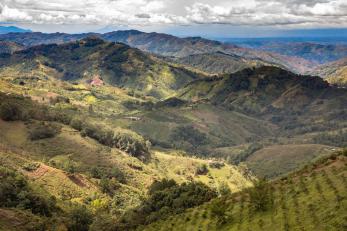 The steep hillsides of fabian olarte’s coffee farm in uribe, colombia. 
