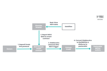 Diva donate flowchart.