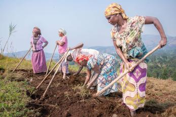 A group of people overturn soil using tools.