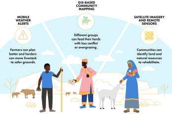 Asal adapts program illustration.