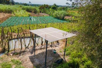 Solar panel in agricultural setting in tanzania.