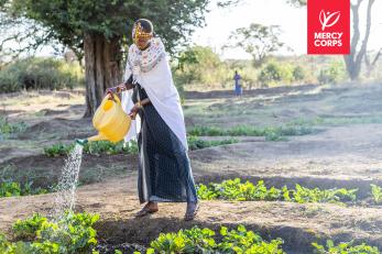 Kenyan woman watering agricultural crops.