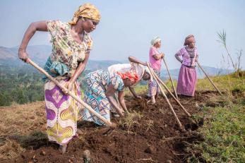 A group of women tilling a field in an agricultural setting.