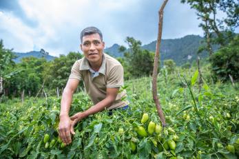 A man crouches in his garden