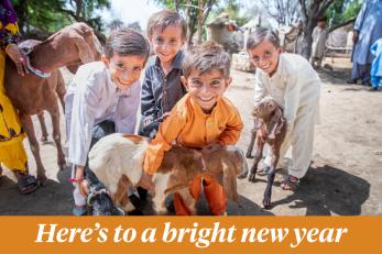 Here's to a bright new year