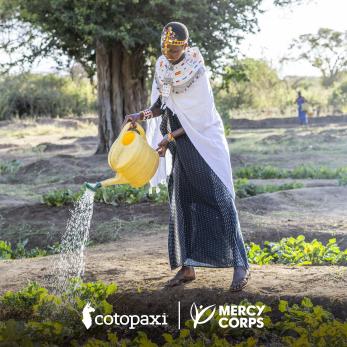A woman waters her garden