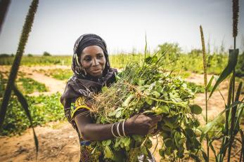 Salma with arms full of cassia leaves