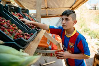 Boy at working at fruit stand.