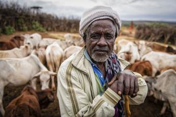 Ethiopian cattle rancher and his herd