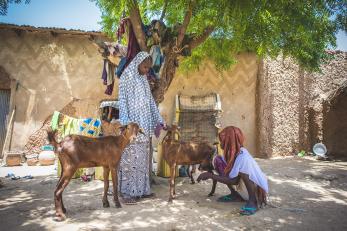 Fatsuma, her sister and two goats.