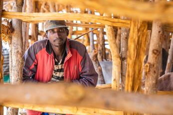 A man looks through fencing made from thick sticks.