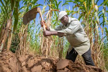 A man in nigeria works soil with a large tool