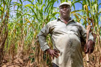 A man stands in a corn field in nigeria