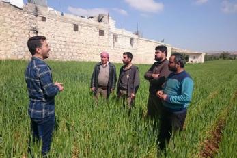 Mercy corps team member speaking to four men in a green field