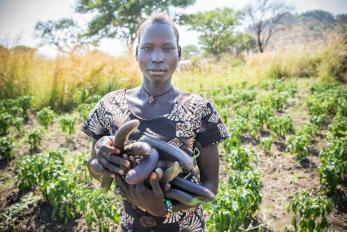 Young sudanese woman holding eggplant harvest