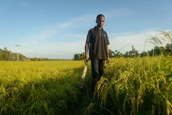 A man standing in a rice field in timor leste