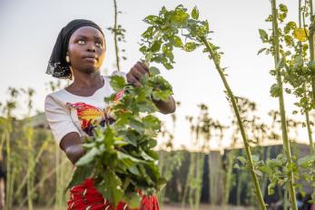 A woman picks vegetables in front of her family's home.