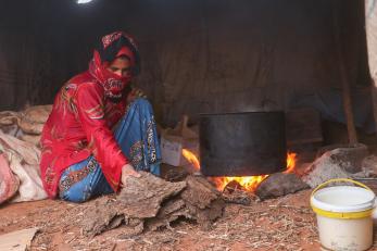 An individual uses sheep dung to light their stove.