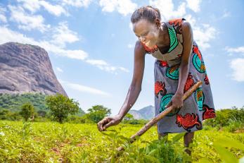 A farmer weeding their crops.