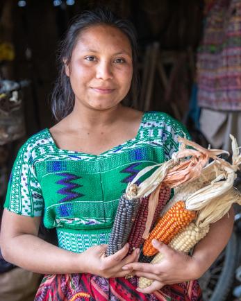 Guatemalan young woman holding corn she's harvested