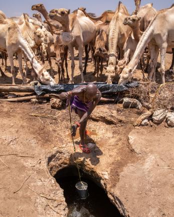 A person pulls water from deep in the earth at a migration water point in east samburu, kenya