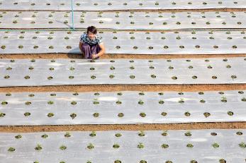 Han, 18, from Myanmar, has been attending our farm productivity training. PHOTO: Ezra Millstein/Mercy Corps