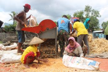 People working to remove hulls with a machine