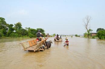 People navigating flooded area