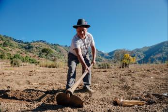 Natalio working soil with a hoe