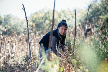 Olga, 16, attends a group training session at a demonstration plot in her community in Guatemala. The agricultural education is part of Mercy Corps’ initiative to give Guatemalan youth alternatives to migration.