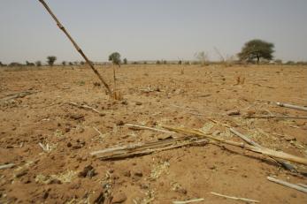 Recurring droughts have left the land in Niger dry and cracked, causing harvests to fail. Photo: Cassandra Nelson/Mercy Corps