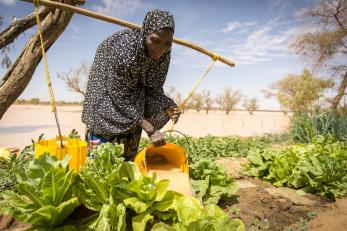 Woman tending crops