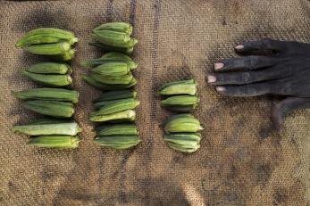 Hand next to okra